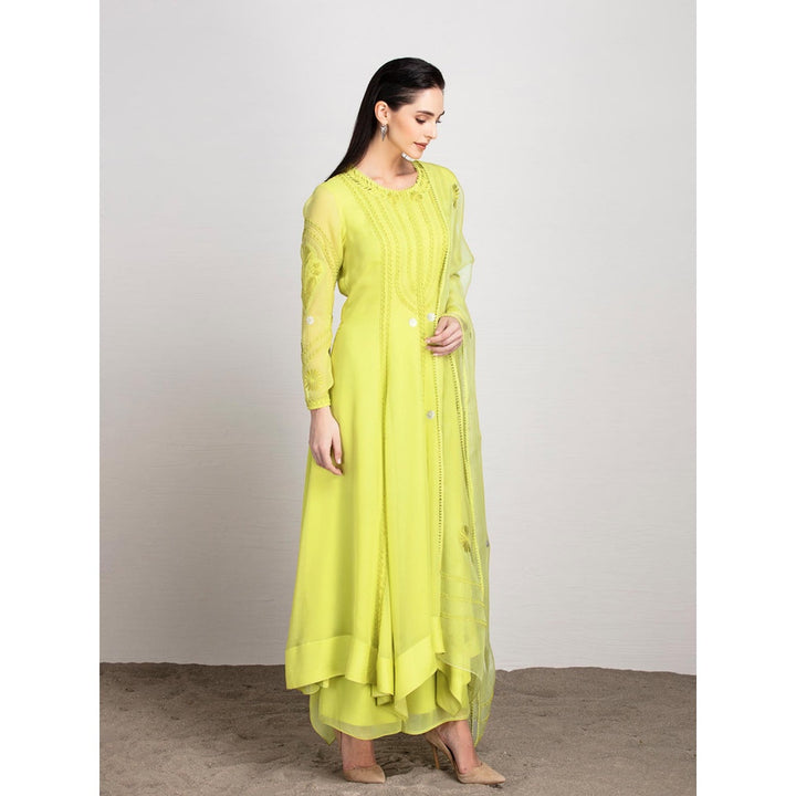AMPM Georgette Isabis Lime Yellow Anarkali Set (Set Of 3)