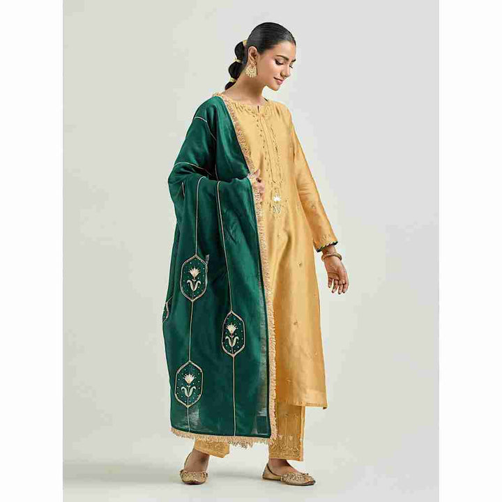 Anantaa by Roohi Trehan Dark Green Silk Chanderi Embroidered Dupatta with Gota