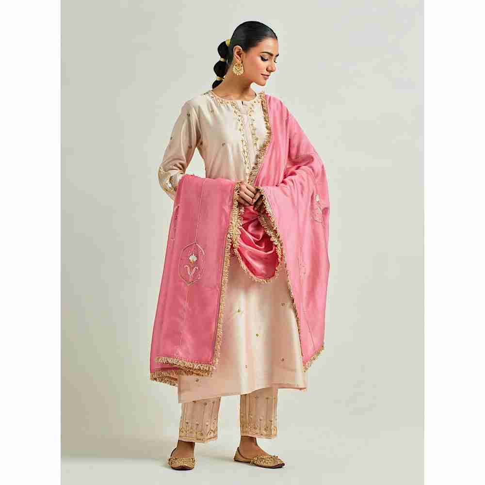 Anantaa by Roohi Trehan Pink Silk Chanderi Embroidered Dupatta with Gota