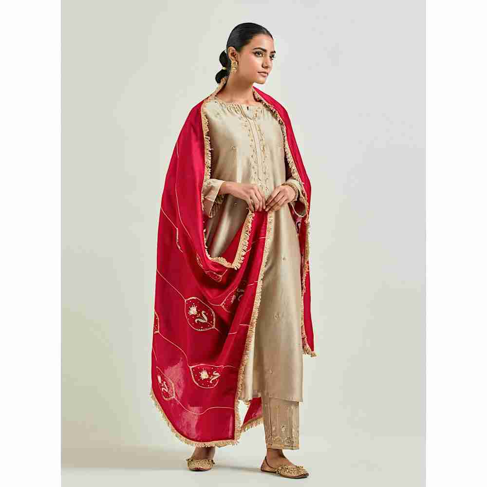 Anantaa by Roohi Trehan Red Silk Chanderi Embroidered Dupatta with Gota