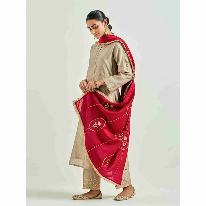 Anantaa by Roohi Trehan Red Silk Chanderi Embroidered Dupatta with Gota