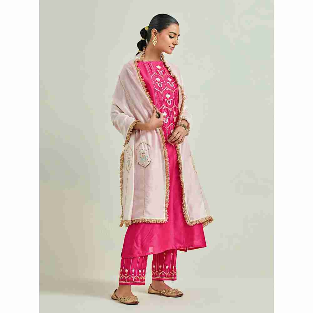 Anantaa by Roohi Trehan Magenta Hand Embroidered Silk Chanderi Kurta with Gota