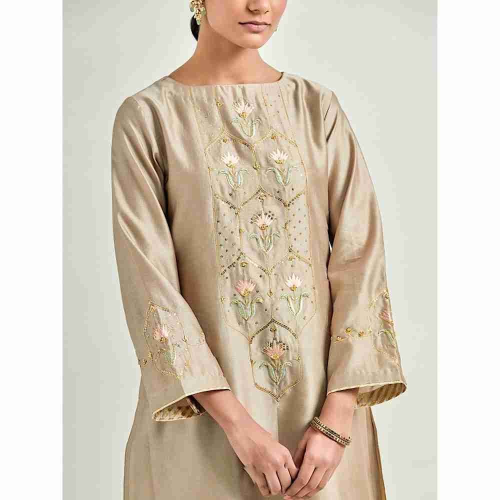 Anantaa by Roohi Trehan Brown Hand Embroidered Silk Chanderi Kurta with Gota