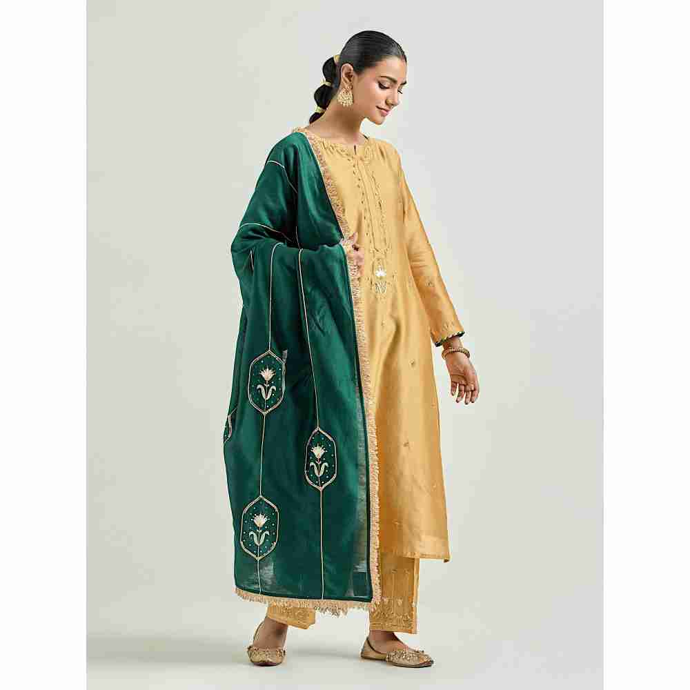 Anantaa by Roohi Trehan Mustard Hand Embroidered Silk Chanderi Kurta with Gota