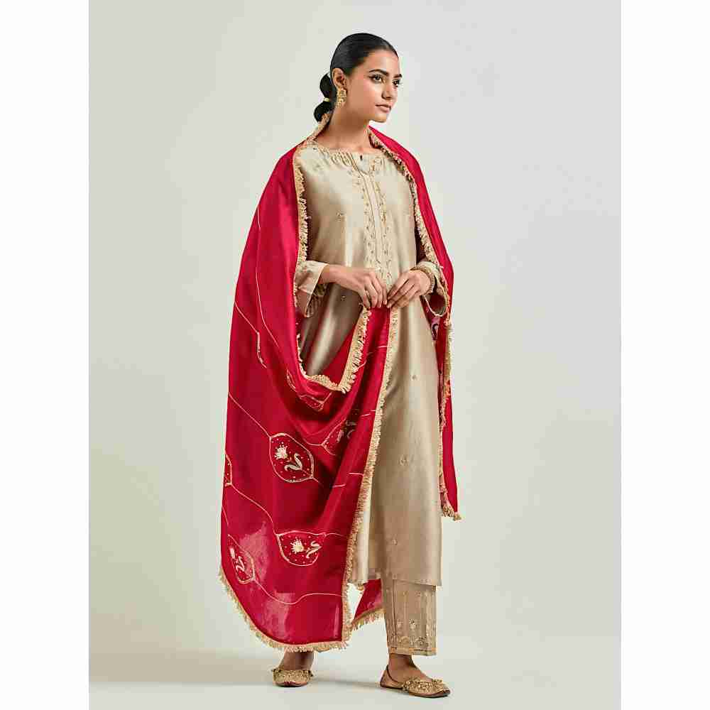 Anantaa by Roohi Trehan Brown Hand Embroidered Silk Chanderi Kurta with Gota