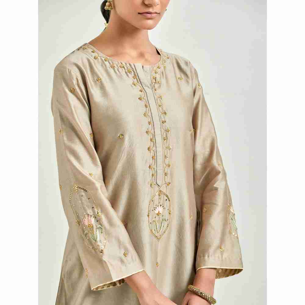 Anantaa by Roohi Trehan Brown Hand Embroidered Silk Chanderi Kurta with Gota