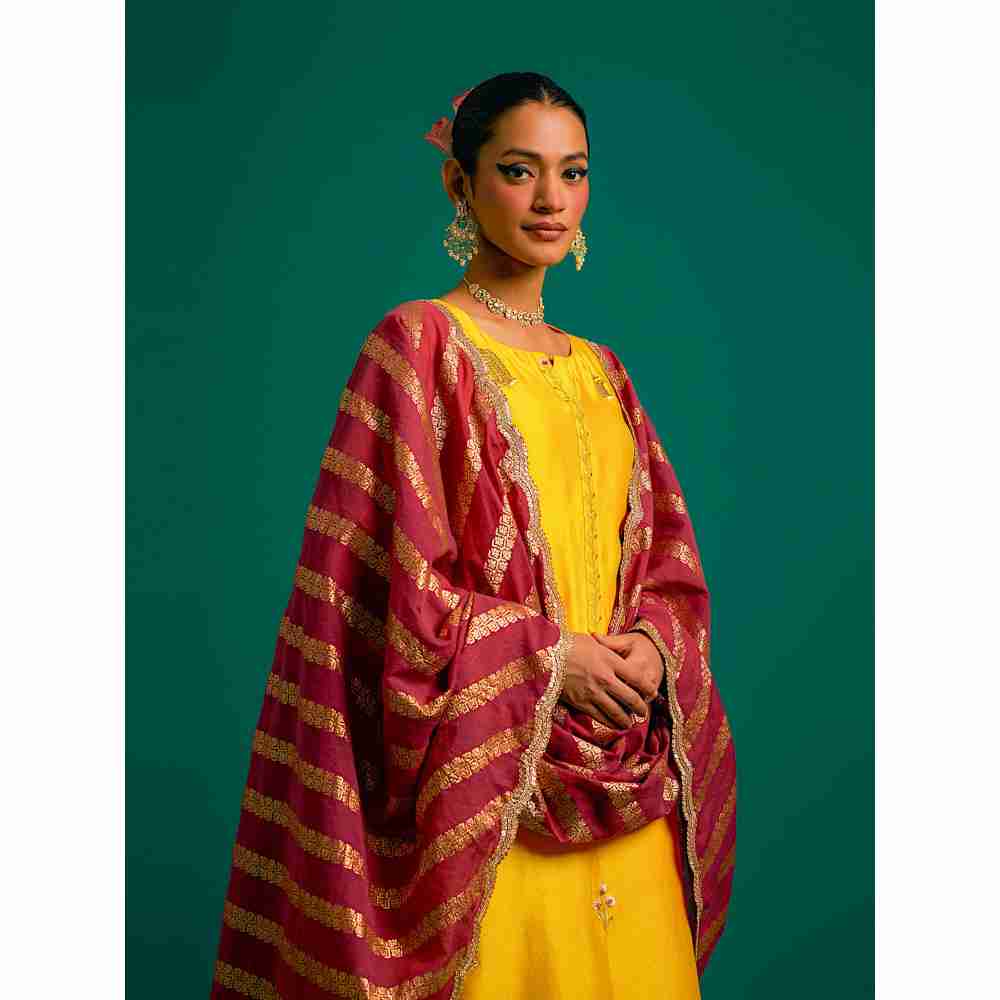 Anantaa By Roohi Trehan Yellow Hand Embroidered Thread Work Silk Chanderi Kurta