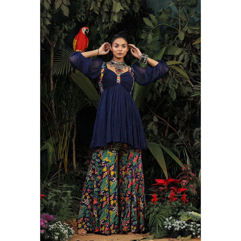 Baise Gaba Tara Gharara (Set of 2)