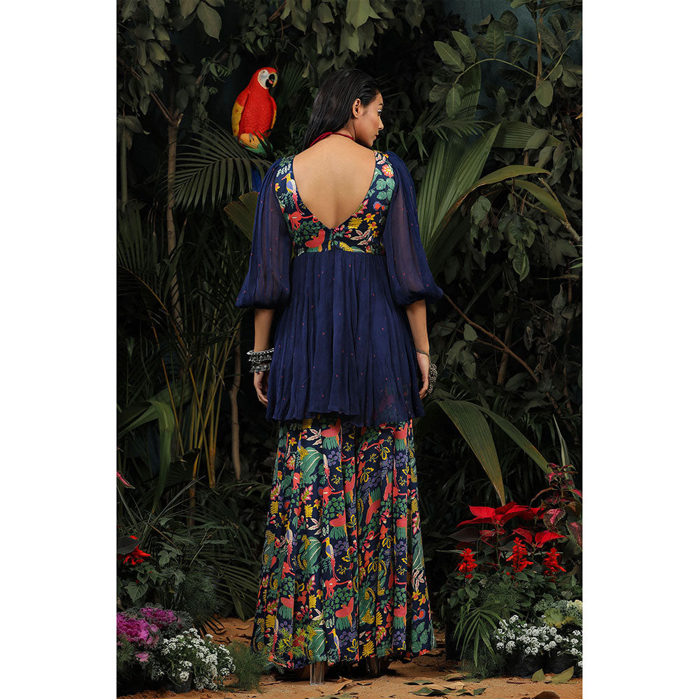 Baise Gaba Tara Gharara (Set of 2)