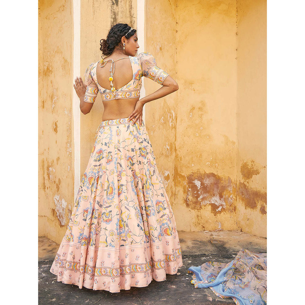 Baise Gaba Ruhaniyat Lehenga Set (Set of 3)