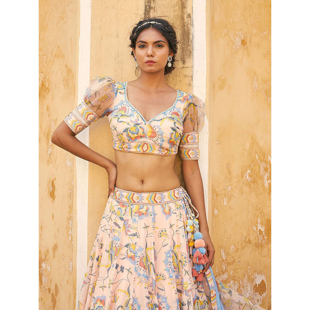 Baise Gaba Ruhaniyat Lehenga Set (Set of 3)