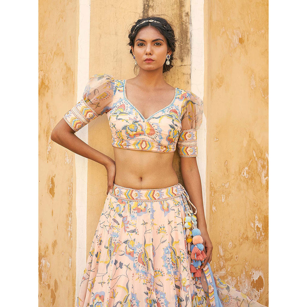 Baise Gaba Roohi Blouse