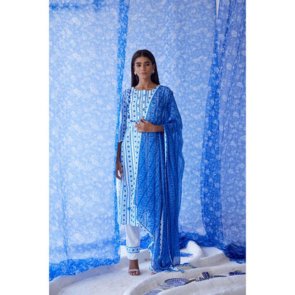 Baise Gaba White Vaayu Straight Suit (Set of 3)