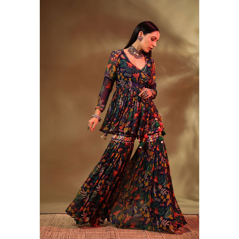 Baise Gaba Multi-Color Gul Sharara (Set of 2)