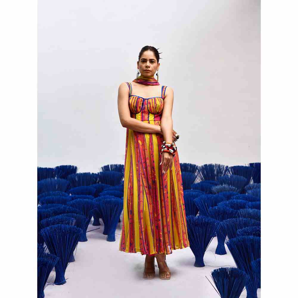 Baise Gaba Roze Multi-Color Anarkali Kurta