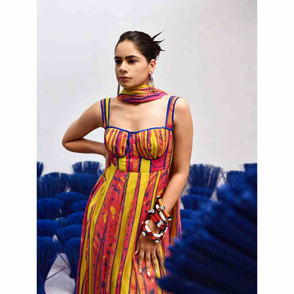 Baise Gaba Roze Multi-Color Anarkali Kurta