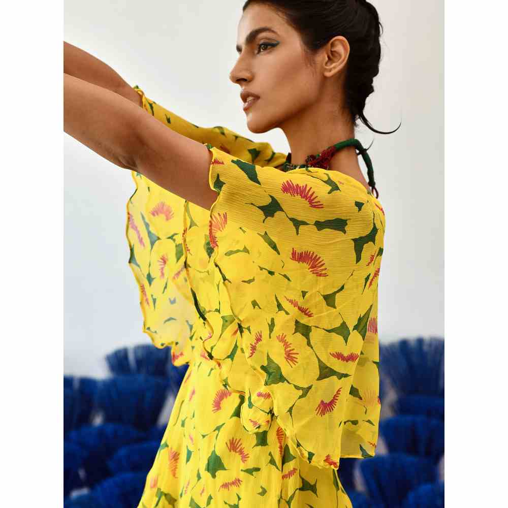 Baise Gaba Suri Printed Maxi Dress in Yellow Color