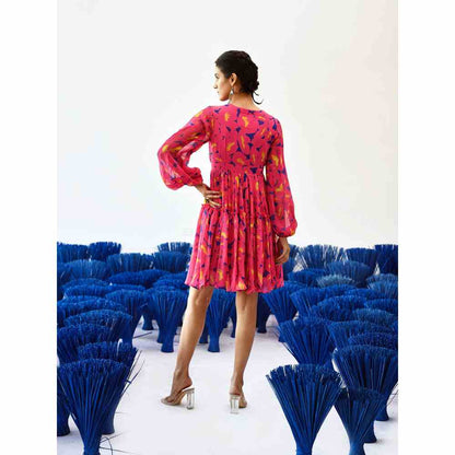 Baise Gaba Adira Printed Knee Length Dress in Pink Color
