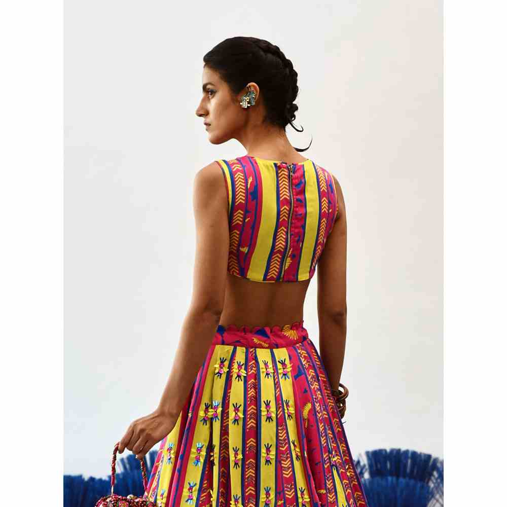 Baise Gaba Calf Length Baagh Short Skirt with Blouse (Set of 2)
