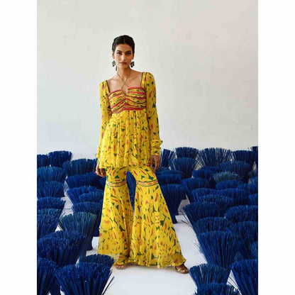 Baise Gaba Yellow Printed Ora Top and Gharara (Set of 2)