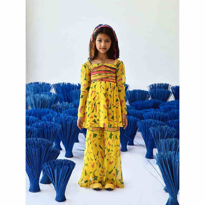 Baise Gaba Aneri Gharara (Set of 2)