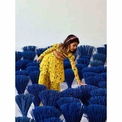 Baise Gaba Aneri Gharara (Set of 2)