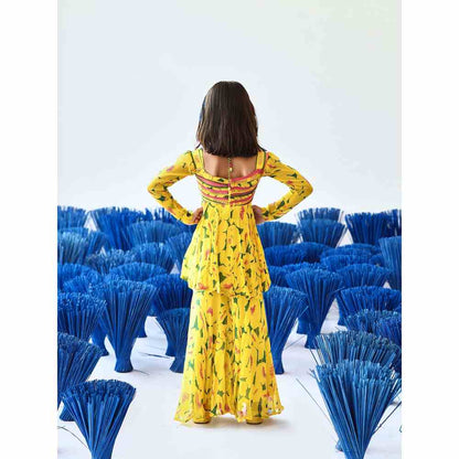 Baise Gaba Aneri Gharara (Set of 2)