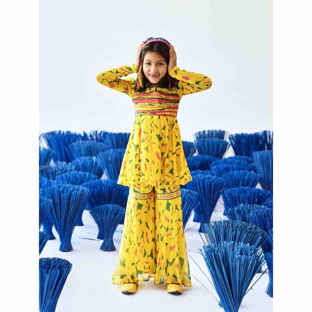 Baise Gaba Aneri Gharara (Set of 2)