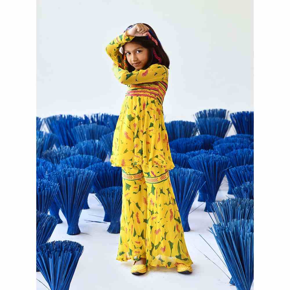 Baise Gaba Aneri Gharara (Set of 2)