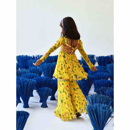 Baise Gaba Aneri Gharara (Set of 2)