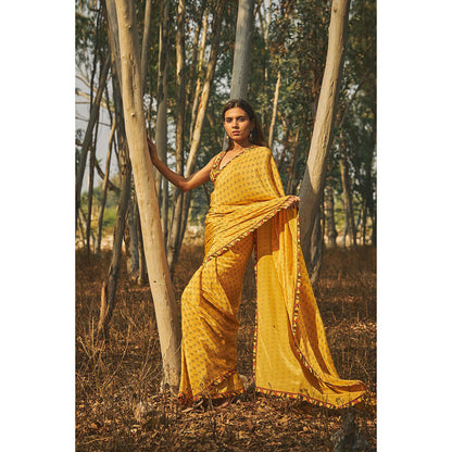 Baise Gaba Santolina Crepe Saree With Unstitched Blouse