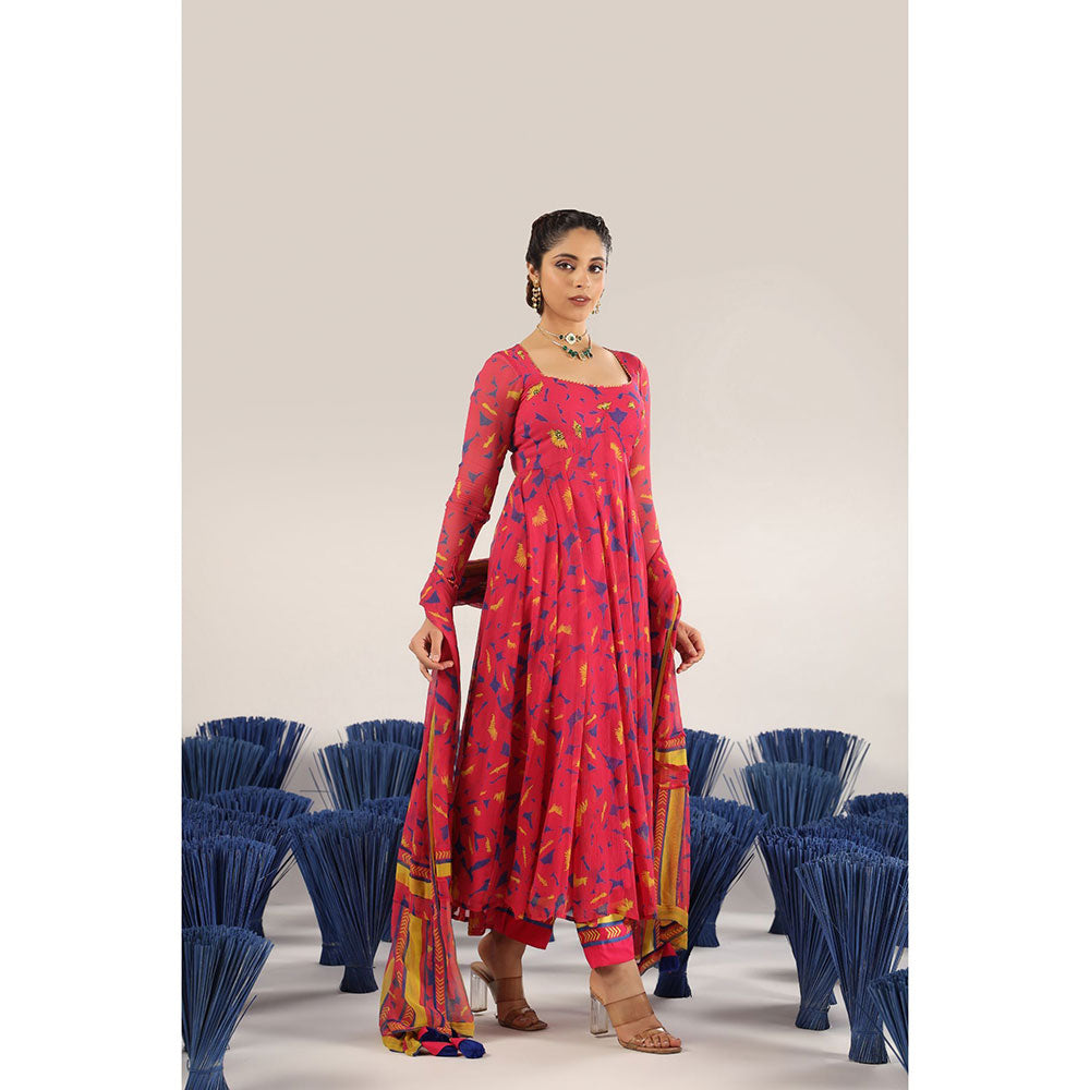 Baise Gaba Saaro Anarkali Kurta