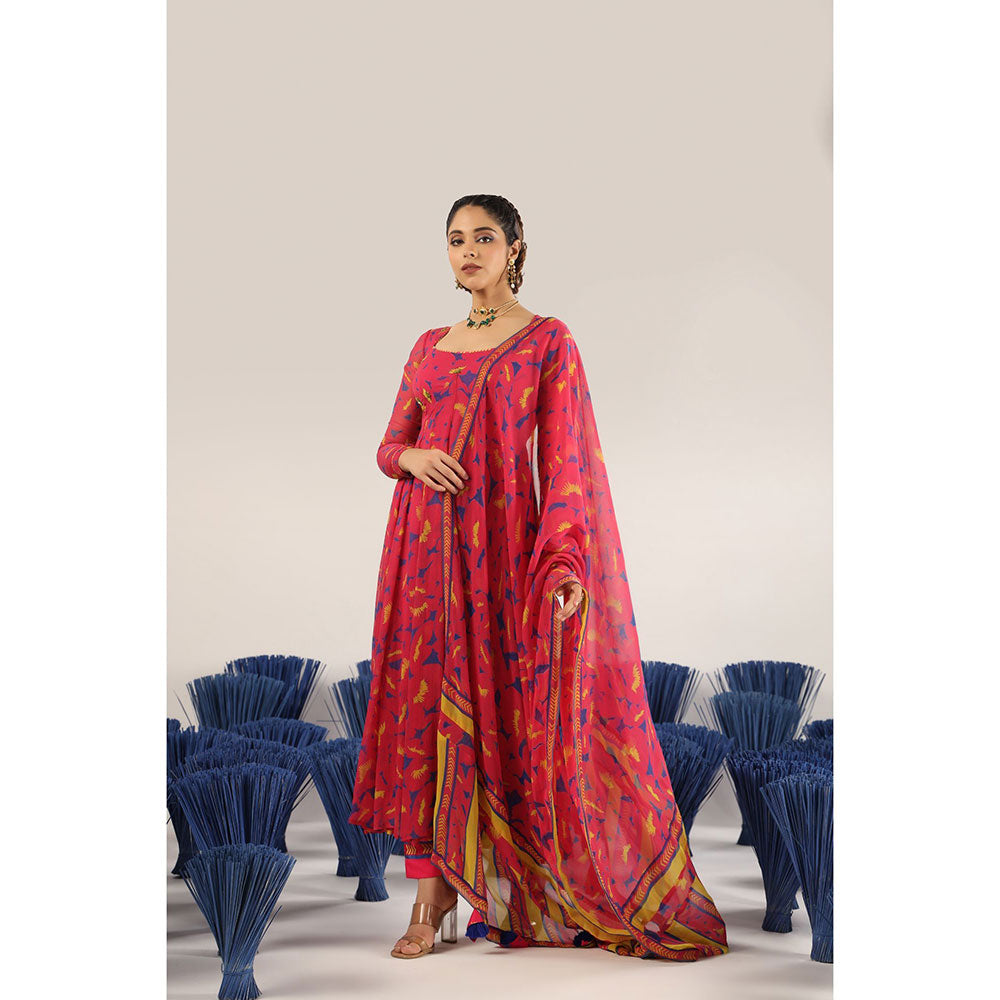 Baise Gaba Saaro Anarkali Kurta