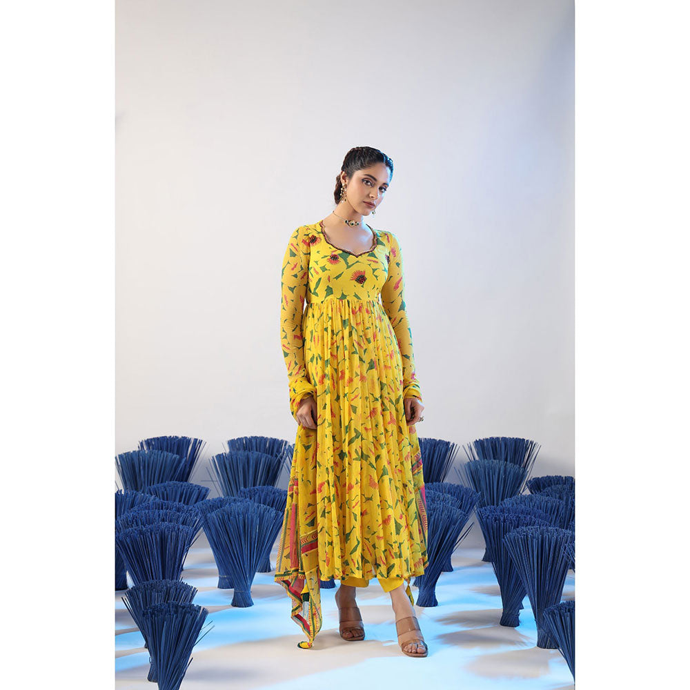 Baise Gaba Smiti Anarkali Kurta