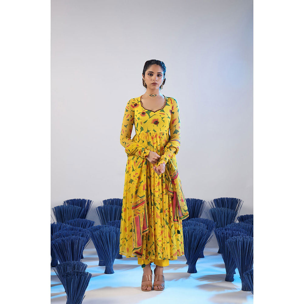 Baise Gaba Smiti Anarkali Kurta