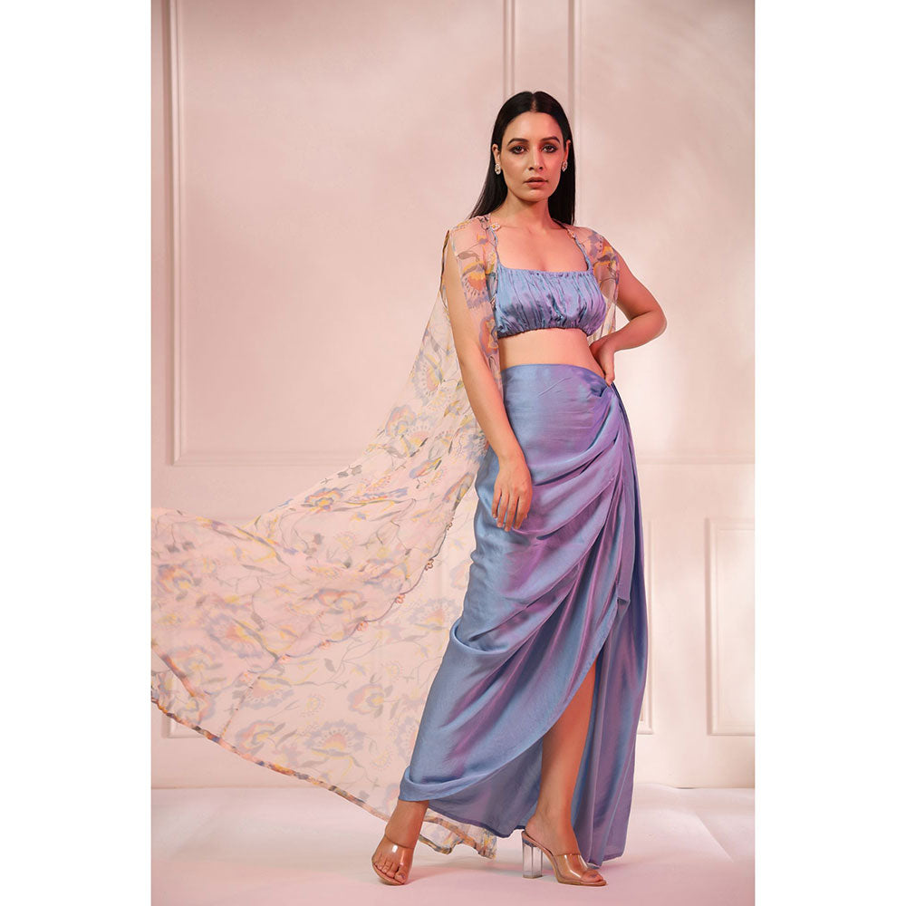 Baise Gaba Chaandni Skirt Chogha (Set of 3)