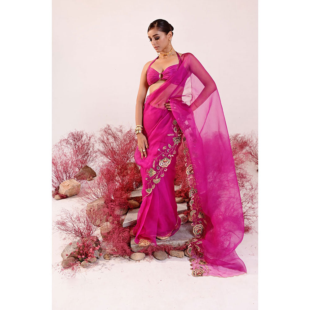 Baise Gaba Dastaan Saree with Unstitched Blouse
