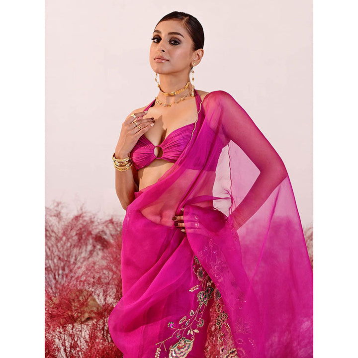 Baise Gaba Dastaan Saree with Unstitched Blouse