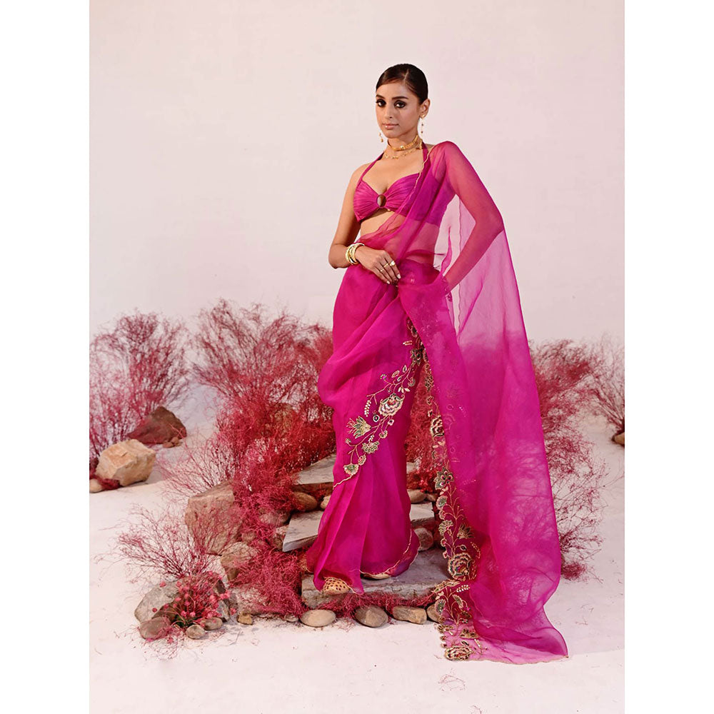 Baise Gaba Dastaan Saree with Unstitched Blouse