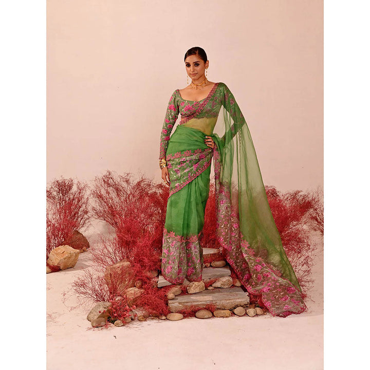Baise Gaba Deviana Saree with Unstitched Blouse