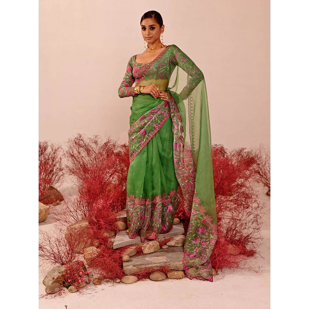 Baise Gaba Deviana Saree with Unstitched Blouse