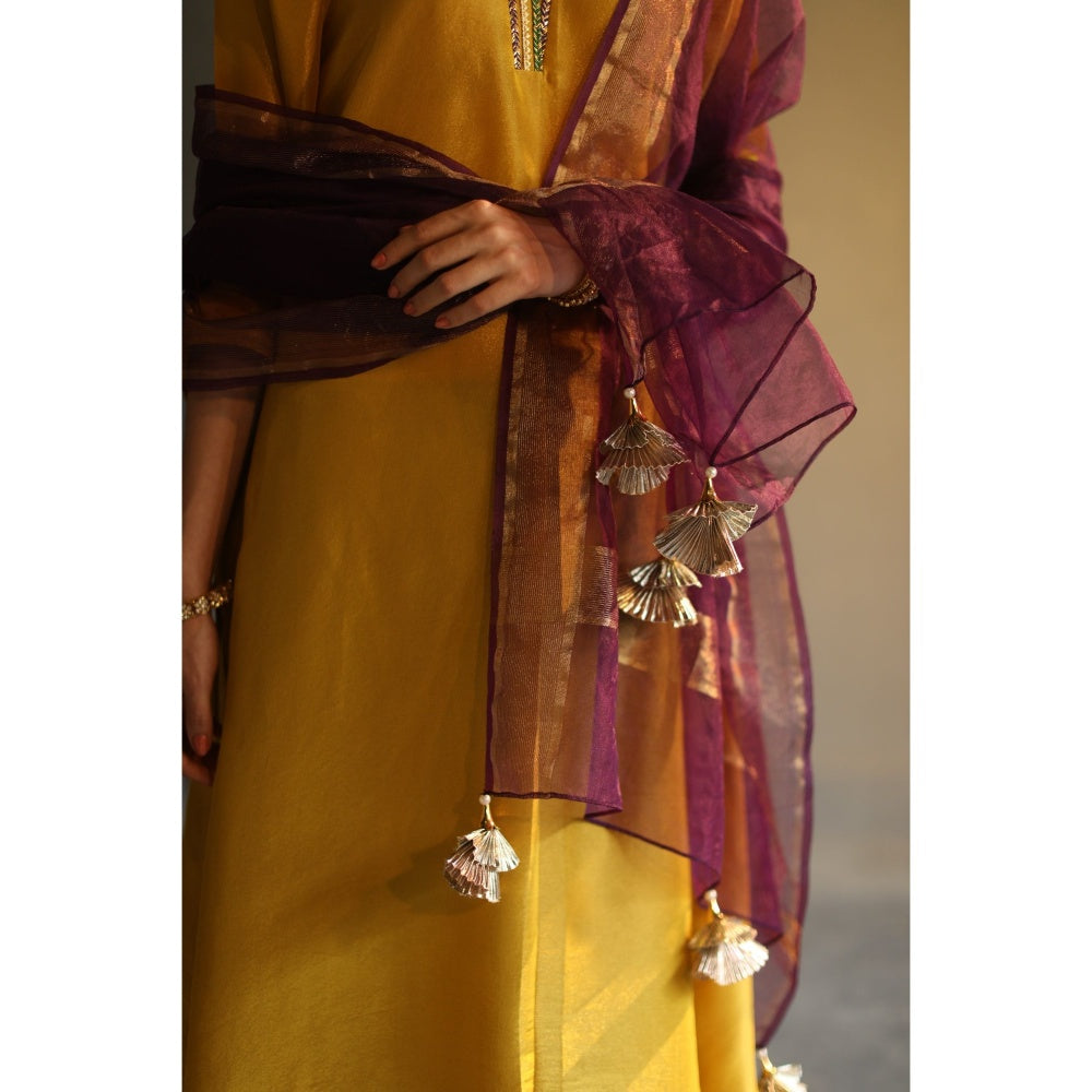 Begum Pret Chandni Kurta - Mustard (Set of 3)