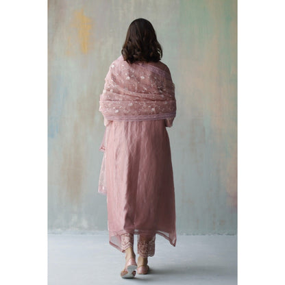 Begum Pret Mira Plum Kurta (Set of 3)