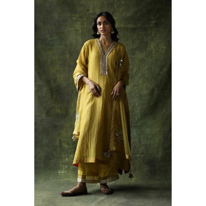 Begum Pret Mustard Bahaar Mirror Work Kurta (Set of 4)