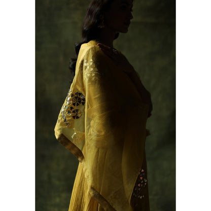 Begum Pret Mustard Bahaar Mirror Work Kurta (Set of 4)