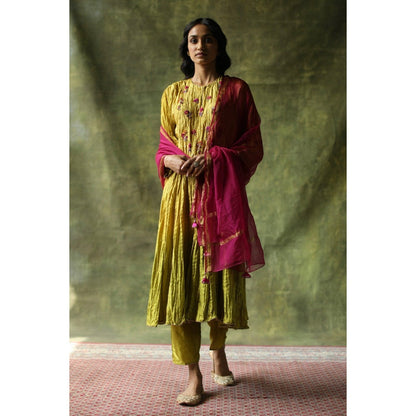 Begum Pret Mustard and Olive Zeenat Kurta (Set of 3)