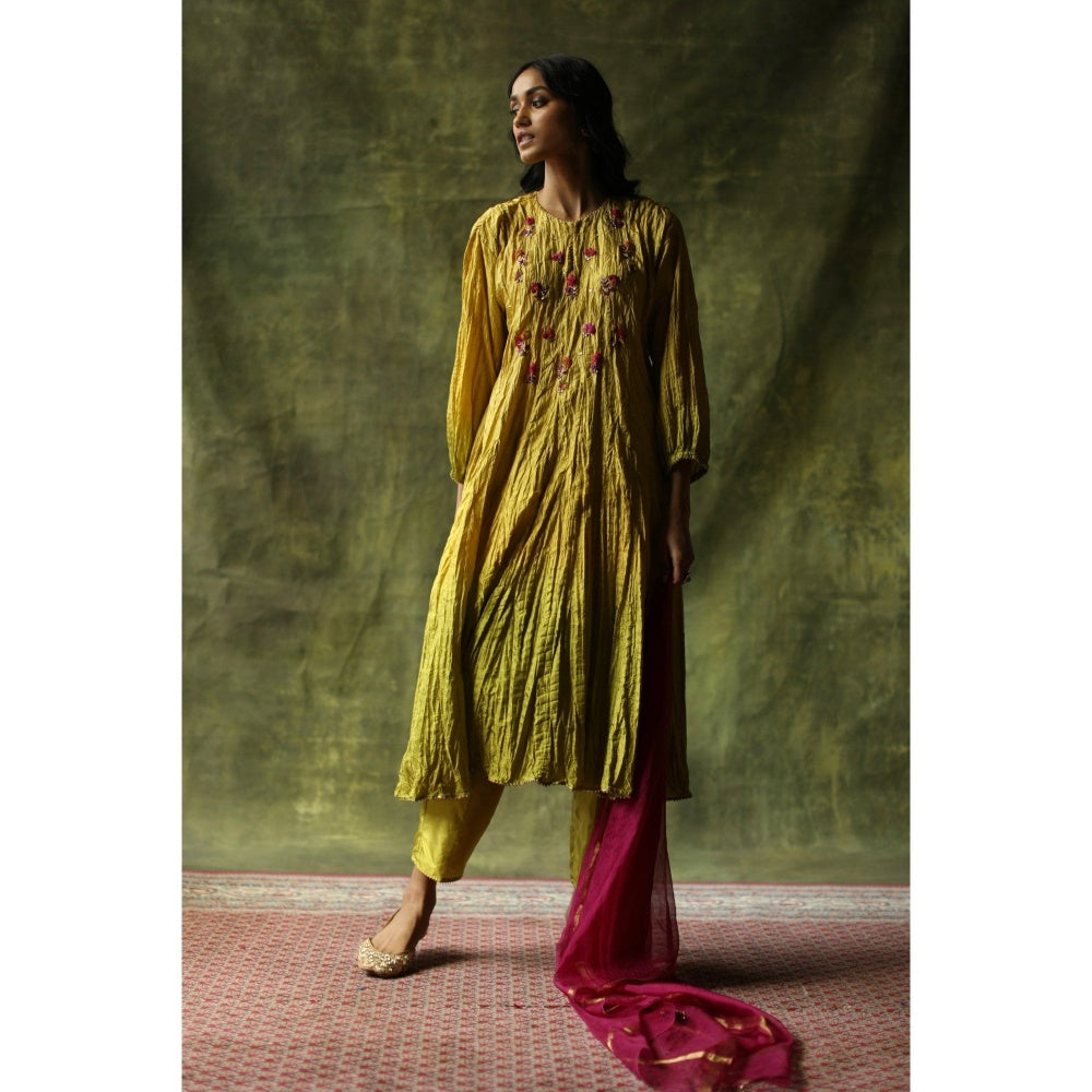 Begum Pret Mustard and Olive Zeenat Kurta (Set of 3)