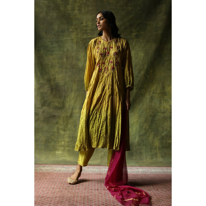 Begum Pret Mustard and Olive Zeenat Kurta (Set of 3)