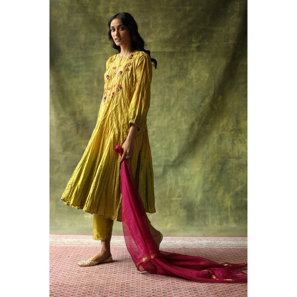 Begum Pret Mustard and Olive Zeenat Kurta (Set of 3)