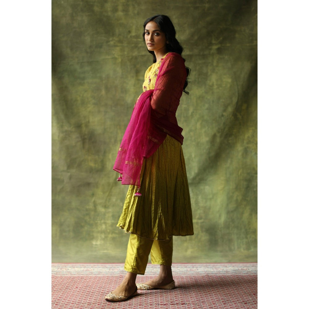 Begum Pret Mustard and Olive Zeenat Kurta (Set of 3)